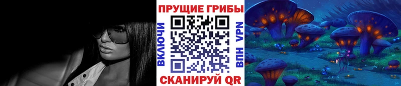 магазин продажи Гудермес Псилоцибиновые грибы GOLDEN TEACHER